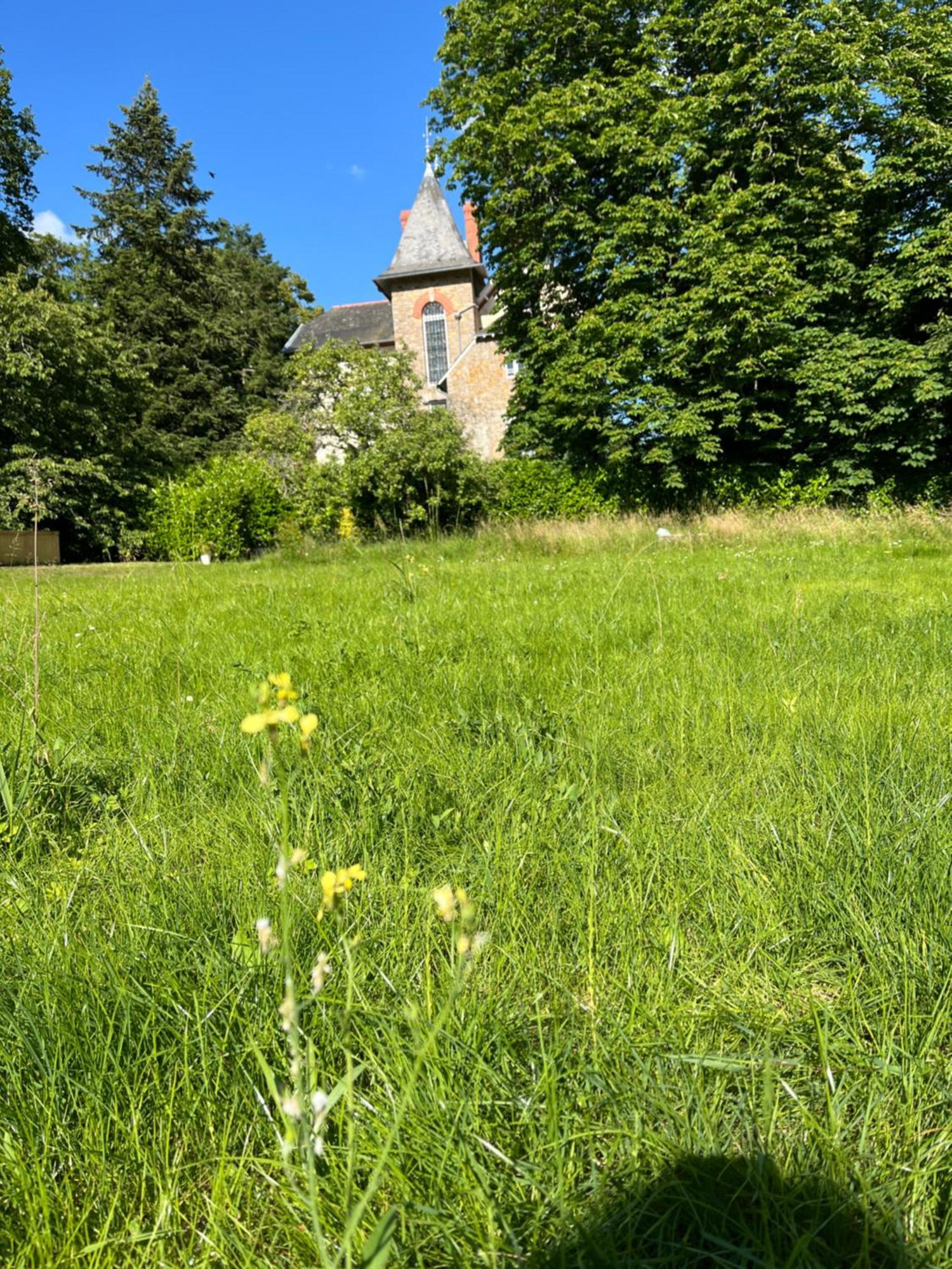 Villa Meguinelle Grand-Fougeray Екстериор снимка